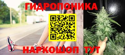 стаф Янаул