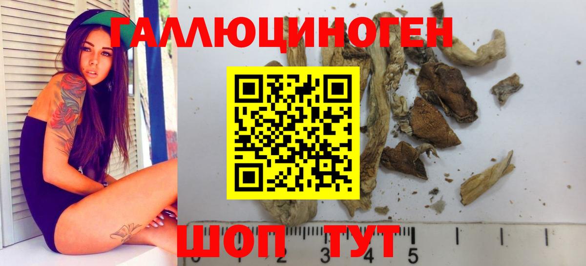 Псилоцибиновые грибы мицелий  Вход с VPN  Галлюциногенные грибы Psilocybine cubensis  Михайловск 
