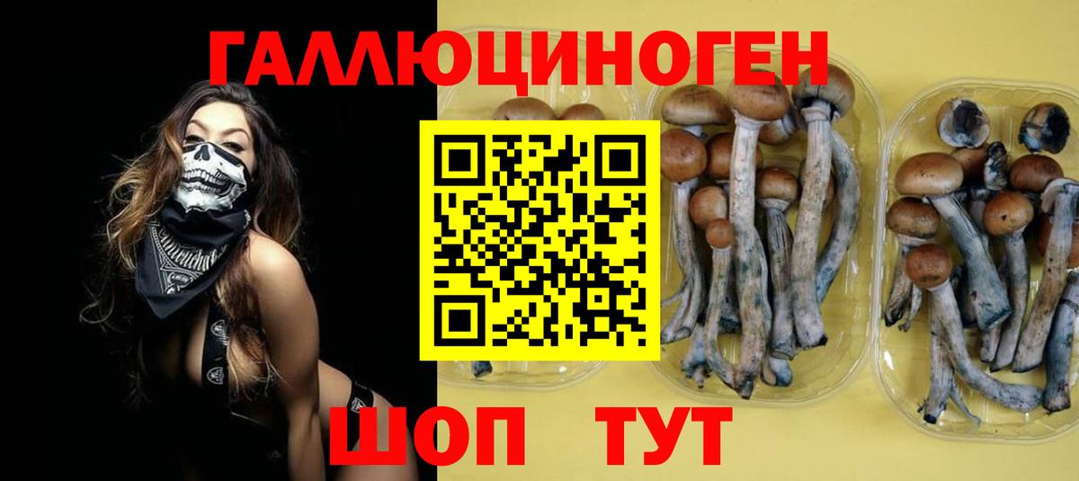 Псилоцибиновые грибы Psilocybe Михайловск